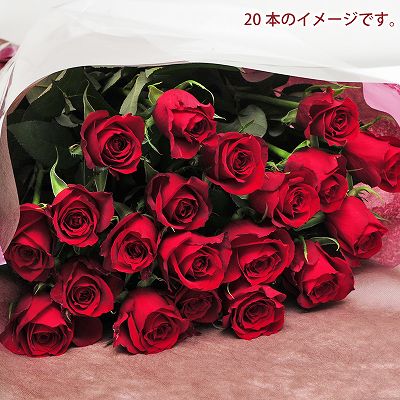 赤いバラ 薔薇 ばら 本の花束 誕生日プレゼント フラワーギフト 赤いバラ 薔薇 ばら の花束 エーデルワイス 花の贈り物 フラワーギフト通販 花宅配 水戸市