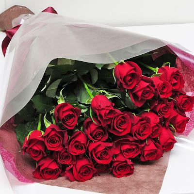 赤いバラ 薔薇 ばら 25本の花束 誕生日プレゼント フラワーギフト 赤いバラ 薔薇 ばら の花束 エーデルワイス 花の贈り物 フラワーギフト通販 花宅配 水戸市