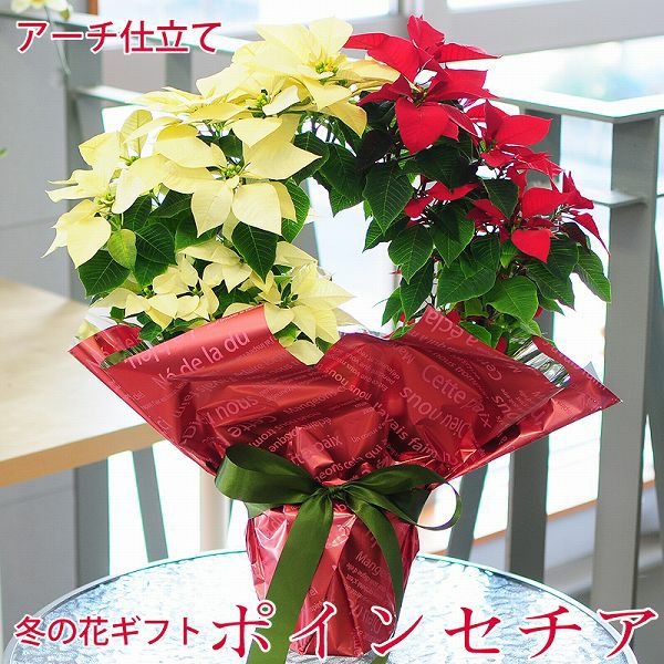 |CZ`A A[`d 4 g ~bNX bh CgCG[