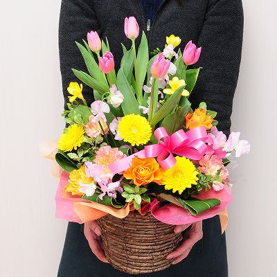 チューリップ入り生花アレンジメント 春のカラフルアレンジメント 春の花贈り エーデルワイス 花の贈り物 フラワーギフト通販 花宅配 水戸市