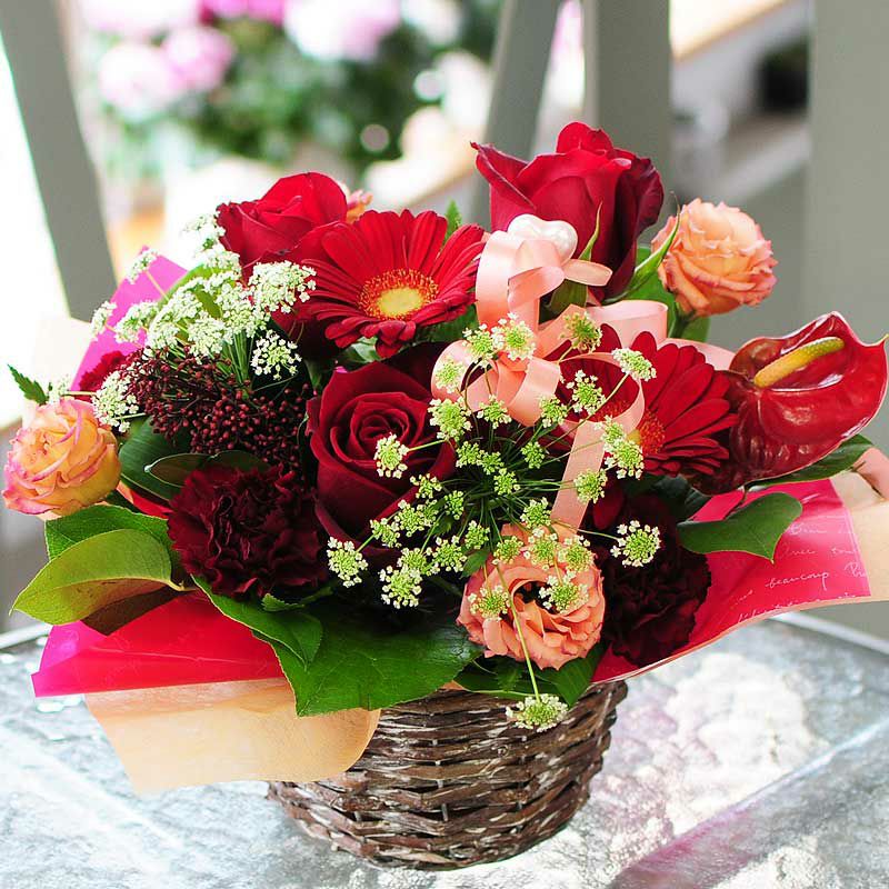 �z���C�g�f�[ �A�����W�����g �G�N���[��