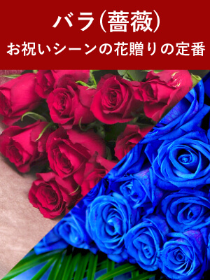 バラ(薔薇)の花