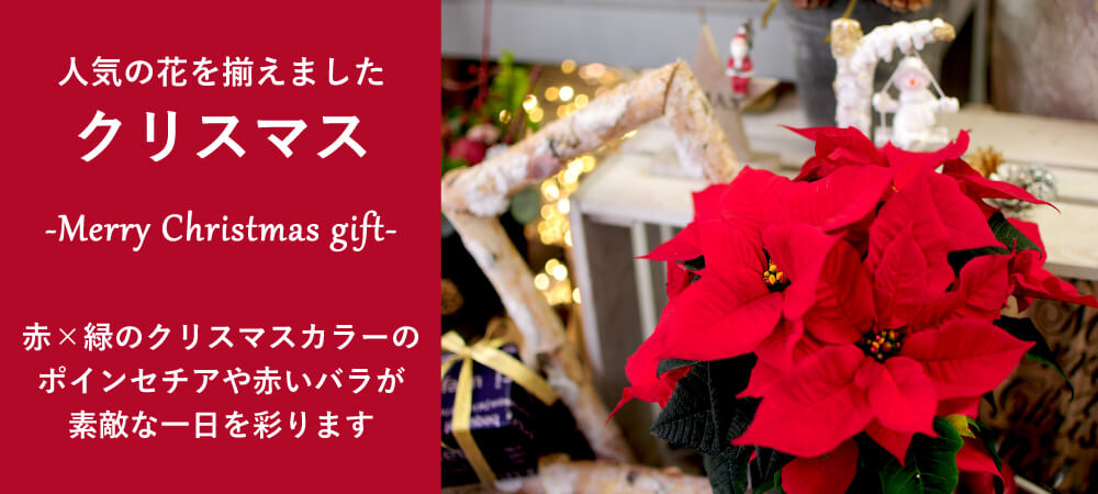 クリスマスの花