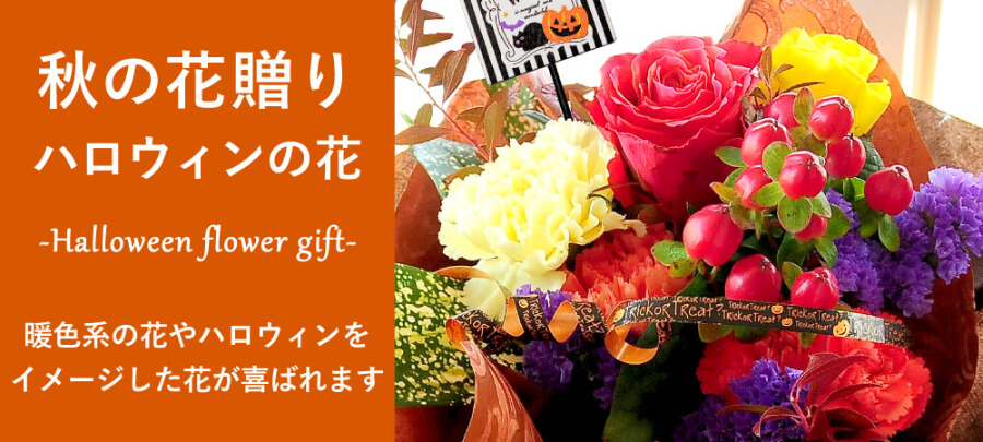 秋の花贈り ハロウィン エーデルワイス 花の贈り物 フラワーギフト通販 花宅配 水戸市