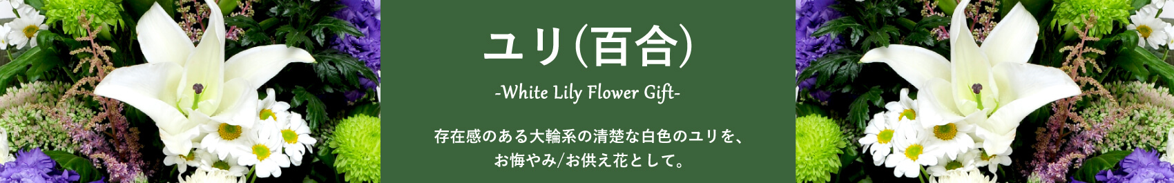 ユリ(百合)のお供え花