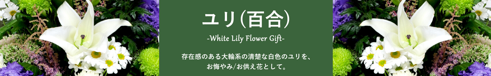 ユリ(百合)のお供え花