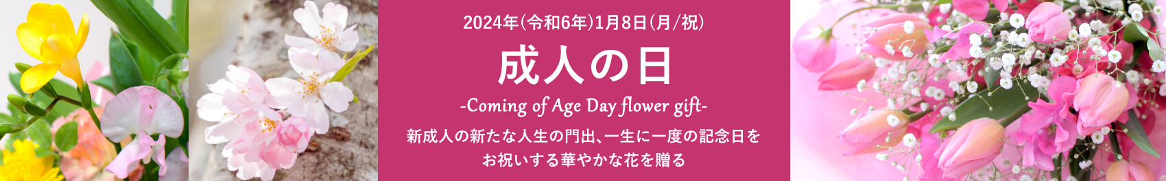 成人の日/成人祝い/成人式の花ギフト