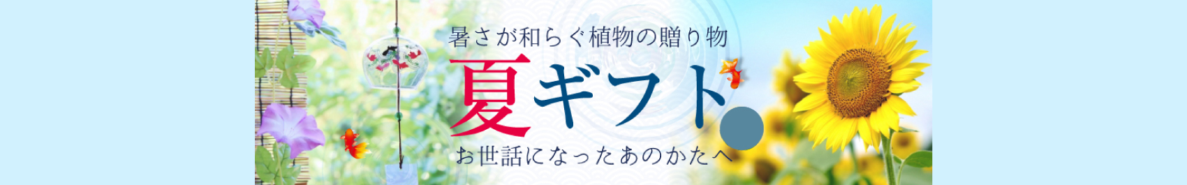 夏の花贈り・お中元ギフト