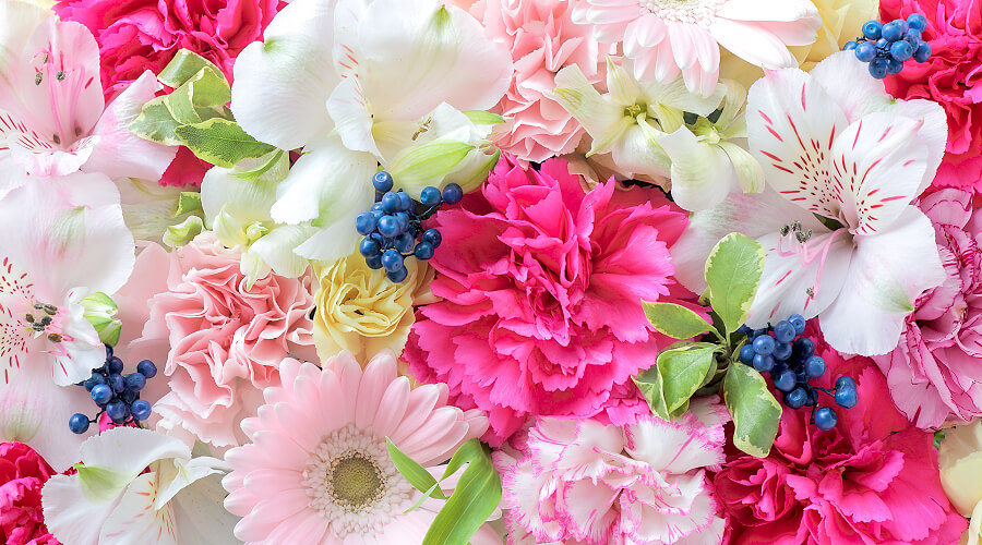 誕生日の花ギフト・プレゼント 誕生花 誕生花とは?誕生花の由来について