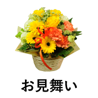 敬老の日 花ギフト エーデルワイス 花の贈り物 フラワーギフト通販 花宅配 水戸市