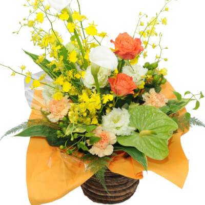 成人式花アレンジメント 成人の日花アレンジメント 成人祝い花アレンジメント ギフト プレゼント オンシジュームのアレンジメント