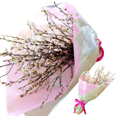 フラワーバレンタイン/バレンタイン花束/ギフト/プレゼント/桜(さくら)の花束