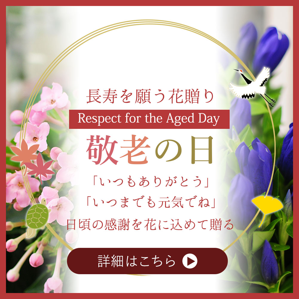 敬老の日 におい桜の鉢植え 5号鉢 敬老の日に贈る花 | エーデルワイス