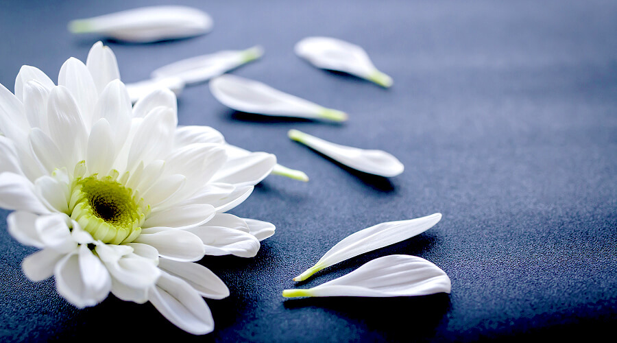喪中見舞いの花ギフト・プレゼント 喪中見舞いの花にはメッセージを添えて贈りましょう