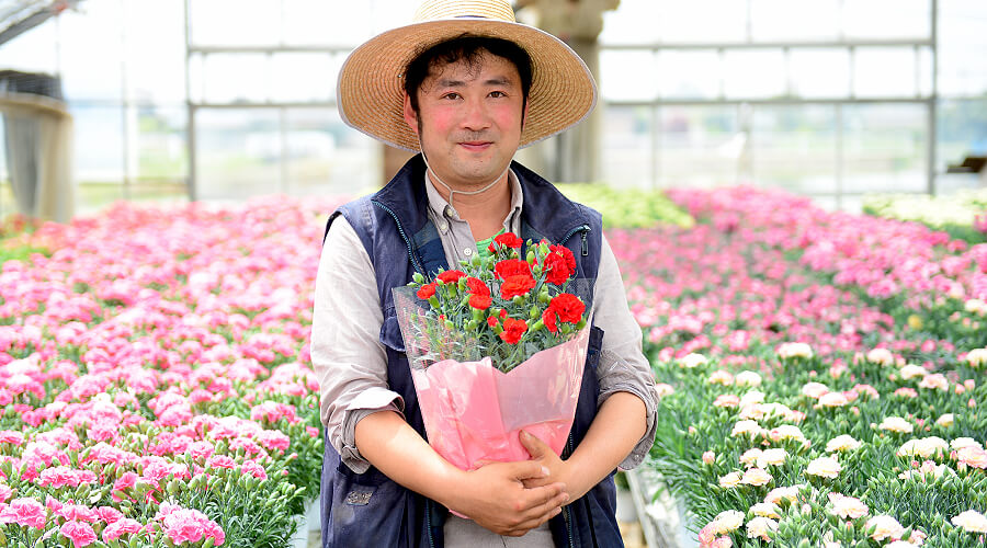 カーネーションと私 茨城北部の生産者 大内園芸