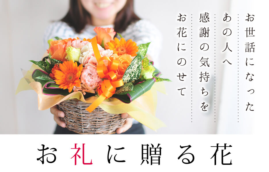 お礼に贈る花 お世話になりました エーデルワイス 花の贈り物 フラワーギフト通販 花宅配 水戸市