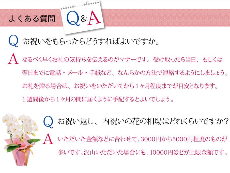 お礼に贈る花 お世話になりました エーデルワイス 花の贈り物 フラワーギフト通販 花宅配 水戸市